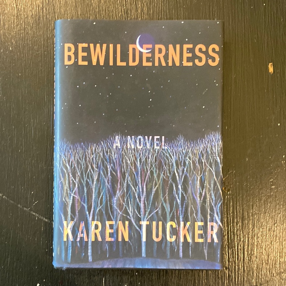 Bewilderness book a novel by Karen Tucker